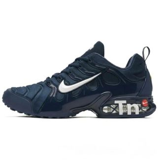 Nike "TN" Airmax Sneakers Blue